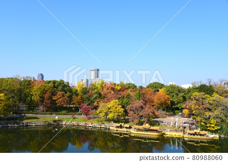 秋天的大阪城公園 秋天的大阪城公園 80988060