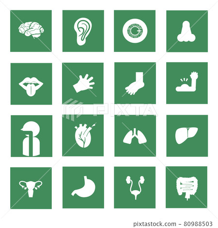 五臟六腑 圖標 Icon 80988503