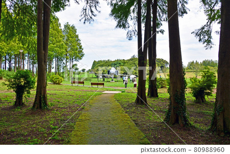 觀察在福岡縣築城町元瀨之森展出的戰鬥機的人 80988960