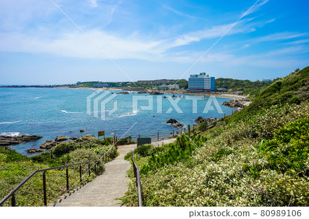 [Chiba Prefecture] The sea seen from Inubozaki, Choshi 80989106