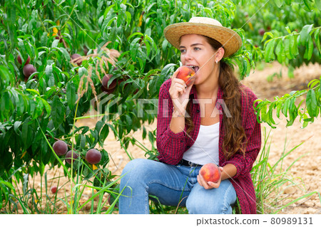 Woman tasting peaches during harvest in orchard 80989131