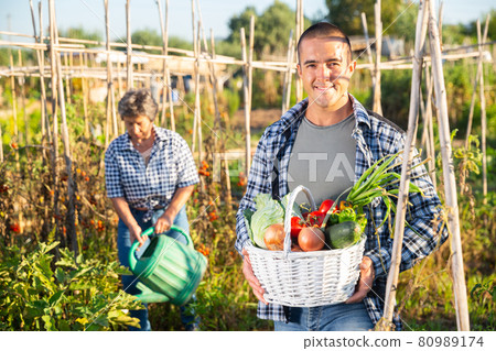 Smiling young gardener showing rich crop of vegetables in garden Smiling young gardener showing rich crop of vegetables in garden 80989174