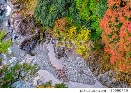 [東京都奧多摩] Hatonosu山谷的紅葉 80990739