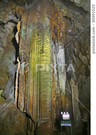 Golden pillar of Akiyoshido in Mine City, Yamaguchi Prefecture 80991020