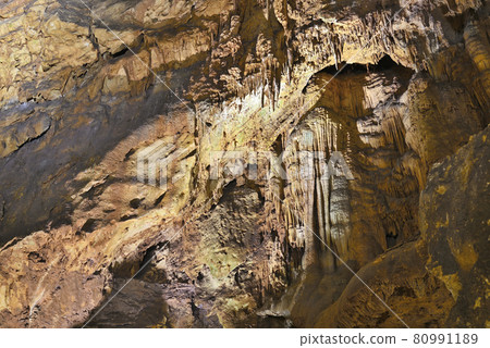 Climbing the stalactite jellyfish waterfall in Akiyoshido, Mine City, Yamaguchi Prefecture 80991189