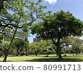夏威夷街 80991713