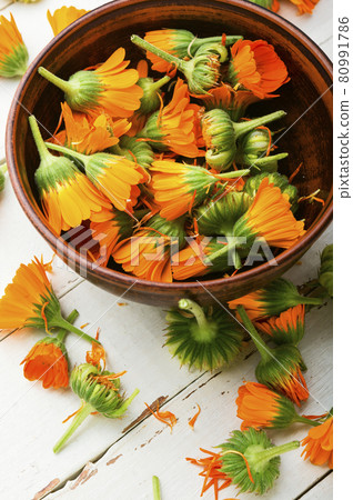 Marigold flowers or calendula 80991786