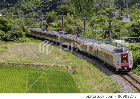 Hakubi Hakubi 80992278