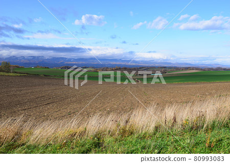 Biei, Hokkaido in late autumn 80993083