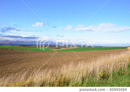 Biei, Hokkaido in late autumn 80993084