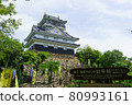 Gifu Castle 80993161