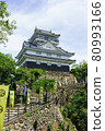 Gifu Castle 80993166