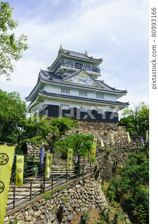 Gifu Castle 80993166