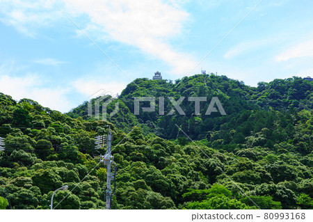 Gifu Castle 80993168