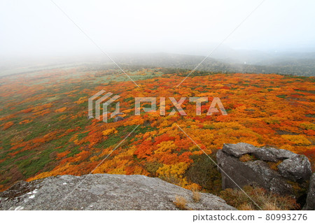 Mitsuishiyama autumn leaves Mitsuishiyama autumn leaves 80993276