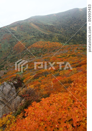 Mitsuishiyama autumn leaves Mitsuishiyama autumn leaves 80993483