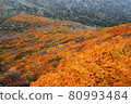 三石山秋葉 80993484