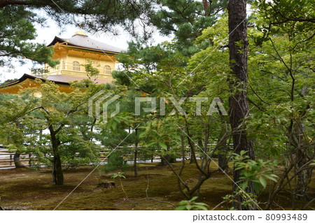 Kinkakuji Temple Summer Kyoto 80993489