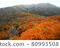 三石山秋葉 80993508
