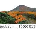 三石山秋葉 80993513