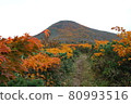 三石山秋葉 80993516