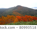 三石山秋葉 80993518