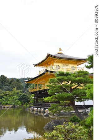 Kinkakuji Temple Summer Kyoto 80993976