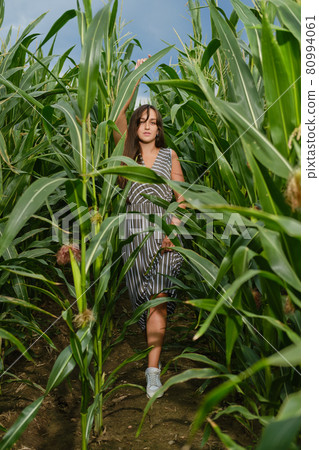 Young woman walking in the corn field 80994061