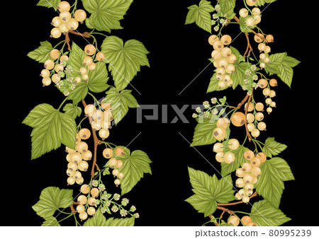 White currant. Ripe berries. Seamless pattern, background White currant. Ripe berries. Seamless pattern, background 80995239