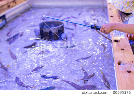 南知多海灘陸上釣魚池 80995376