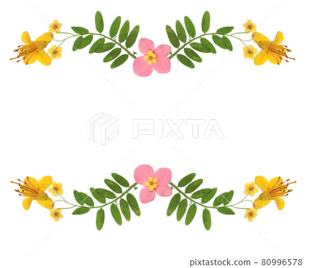 Dried Flowers With Green Vine on White Paper Background Dried Flowers With Green Vine on White Paper Background 80996578
