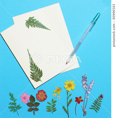 Dried Flowers on Blue Paper Background With Greeting Card Dried Flowers on Blue Paper Background With Greeting Card 80996583