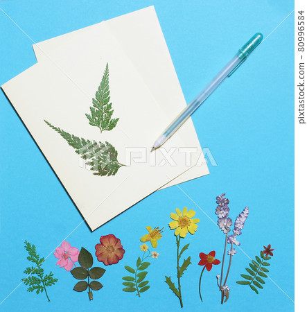 Dried Flowers on Blue Paper Background With Greeting Card Dried Flowers on Blue Paper Background With Greeting Card 80996584