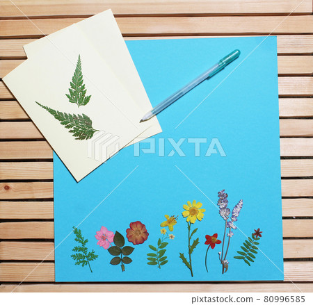 Dried Flowers on Blue Paper Background With Greeting Card Dried Flowers on Blue Paper Background With Greeting Card 80996585