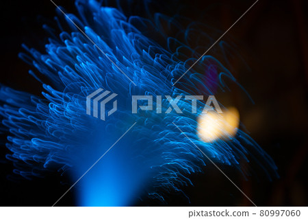 Blue abstract particles and lines with bokeh and blur in dark background 80997060