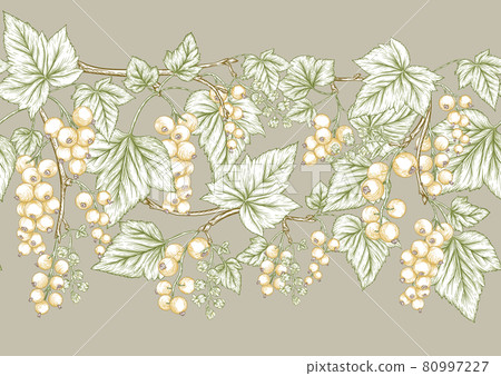 White currant. Ripe berries. Seamless pattern, background. 80997227