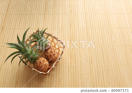 Minipane Minipane 80997371