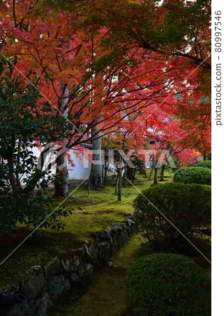 Kensenan秋葉 80997546