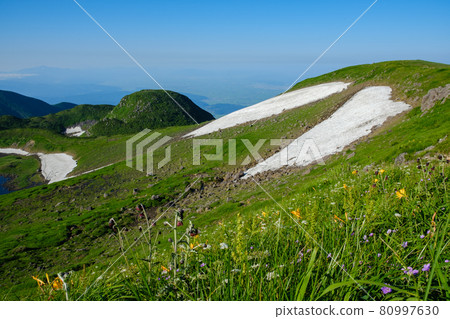 Mt. Chokai (Dewa Fuji), a famous peak representing the Tohoku region where alpine plants are in full bloom 80997630