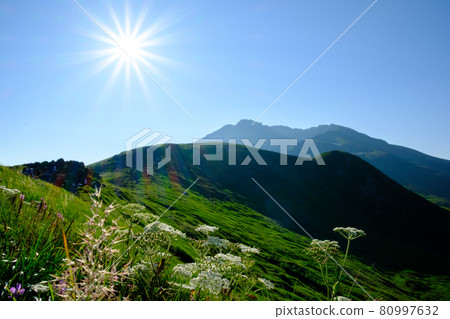 代表高山植物盛開的東北地區的名山鳥海(出羽富士) 代表高山植物盛開的東北地區的名山鳥海(出羽富士) 80997632