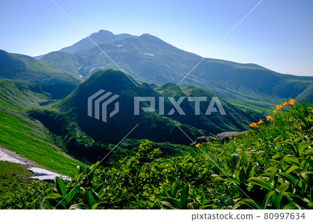 代表高山植物盛開的東北地區的名山鳥海（出羽富士） 80997634