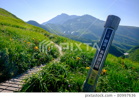 Mt. Chokai (Dewa Fuji), a famous peak representing the Tohoku region where alpine plants are in full bloom 80997636
