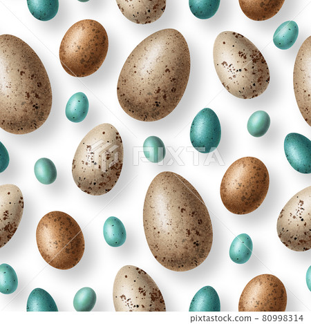 Seamless pattern with eggs of wild birds on a white background Seamless pattern with eggs of wild birds on a white background 80998314