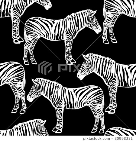 Seamless black and white pattern with african zebras Seamless black and white pattern with african zebras 80998351