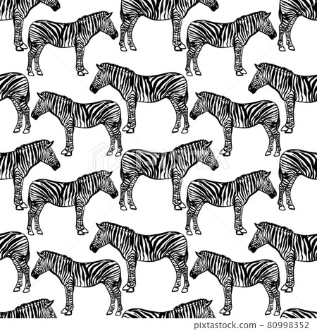 Seamless black and white pattern with african zebras Seamless black and white pattern with african zebras 80998352