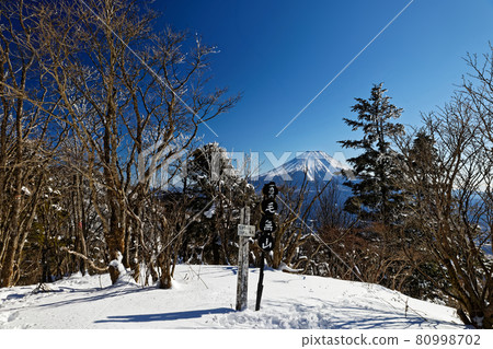 冬季從Mohashi山頂看到的富士山 80998702