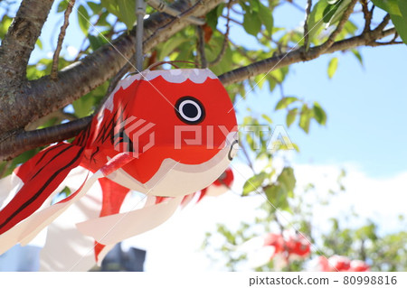 金魚燈籠和白牆街道！柳井市山口縣旅遊 80998816