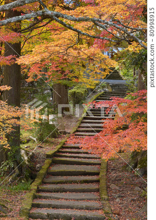 [Kyoto Prefecture] Ryuonji Temple Autumn Leaves Nantan City, Kyoto Prefecture 80998915