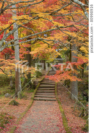 [Kyoto Prefecture] Ryuonji Temple Autumn Leaves Nantan City, Kyoto Prefecture 80998916