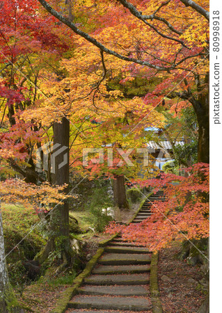 [Kyoto Prefecture] Ryuonji Temple Autumn Leaves Nantan City, Kyoto Prefecture 80998918